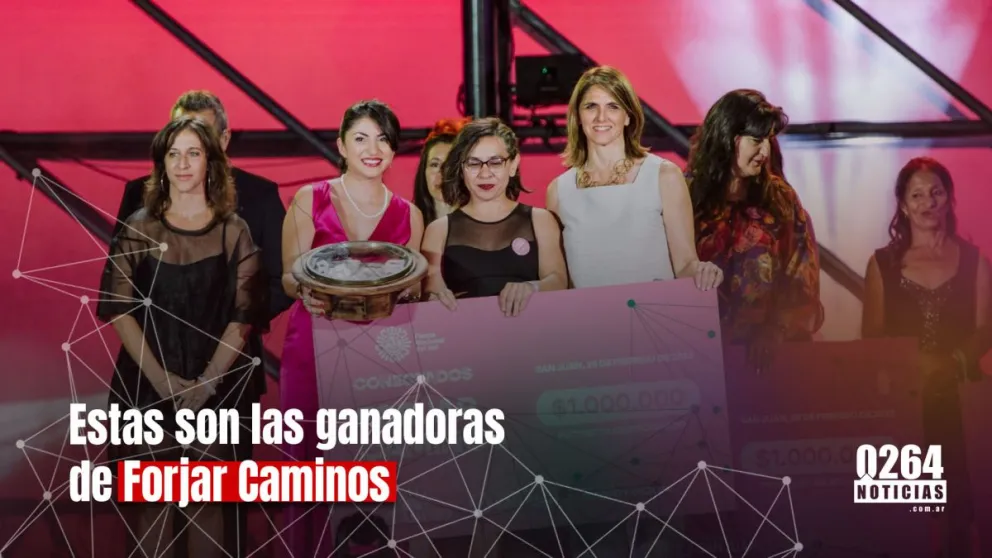 Forjar Caminos: los proyectos de 25 de Mayo, Valle Fértil, Chimbas y San Martín