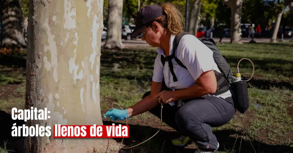 Endoterapia Vegetal ¿De que trata esta novedosa técnica utilizada en Capital?
