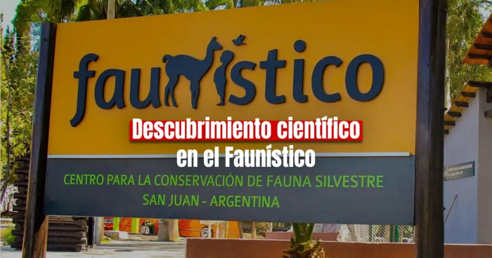Investigadores del Parque Faunístico descubrieron un nuevo parásito maligno para las aves