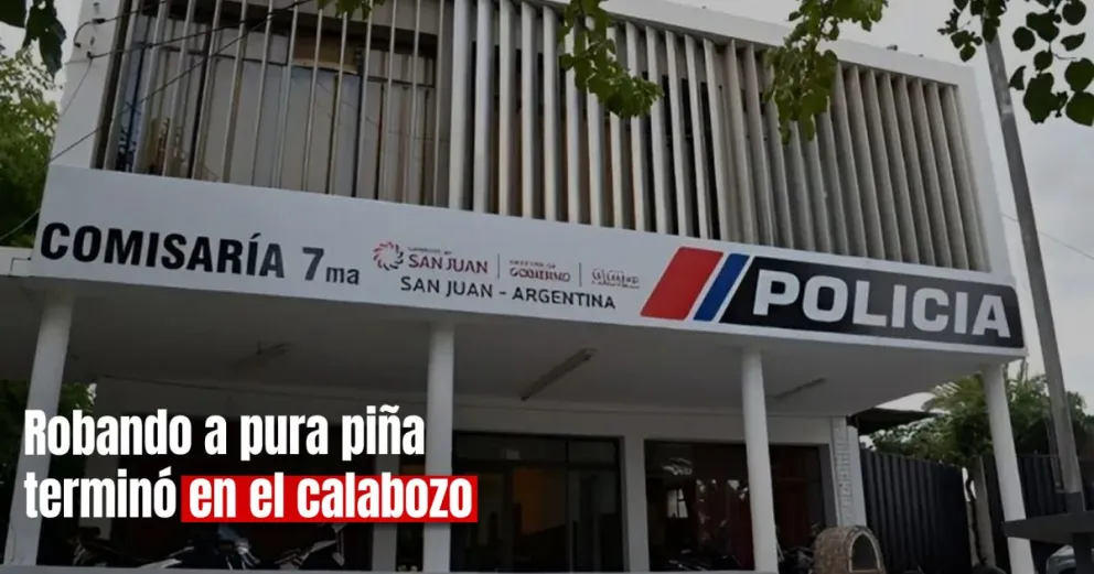 Entró a un local, le pegó una piña al dueño y se robó una mochila 