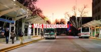 RedTulum: colectivos actualizan sus horarios por el inicio de clases