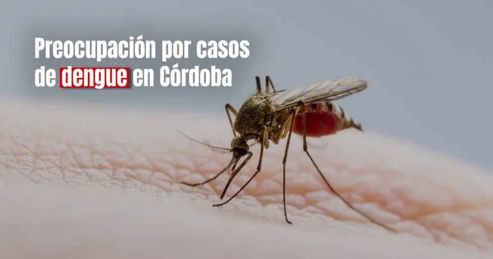 Extremaron medidas preventivas en Córdoba por nuevos casos de dengue 