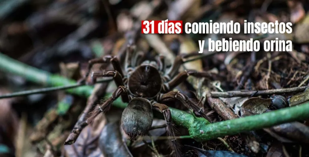 Un hombre boliviano estuvo  31 días perdido en la selva amazónica