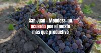 San Juan y Mendoza llegaron a un acuerdo por la uva para el mosto 