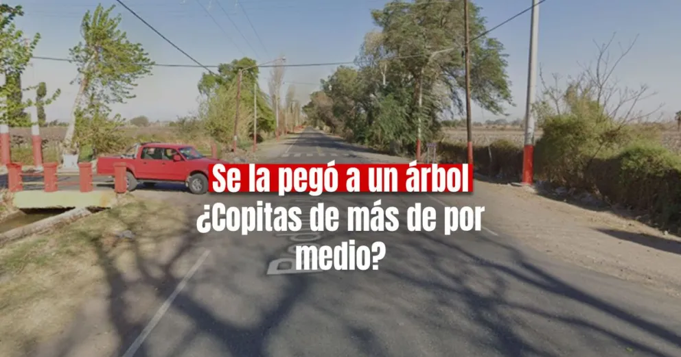 Perdió el control de la moto y chocó con un árbol ¿Iba alcoholizado?