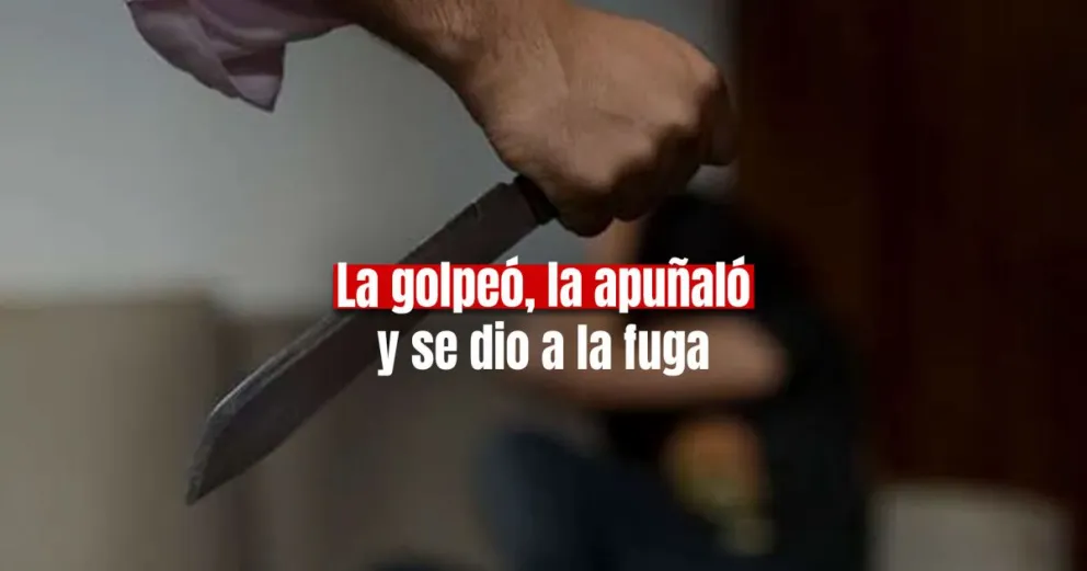 Golpeó y apuñaló a su pareja y se dio a la fuga