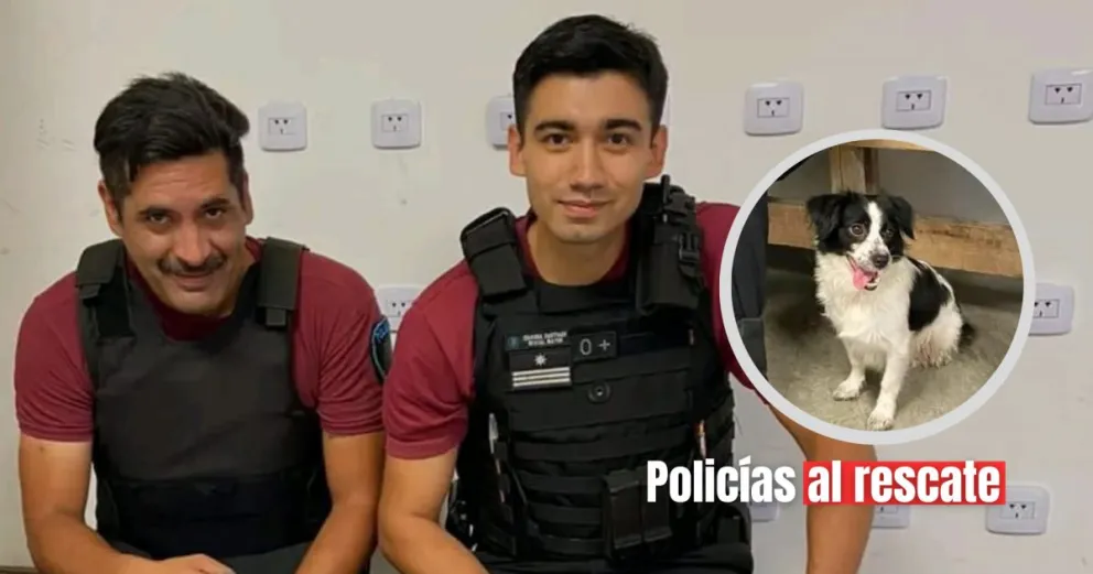 Maltrato animal: una mujer abandonó a su perro en Villa Luro