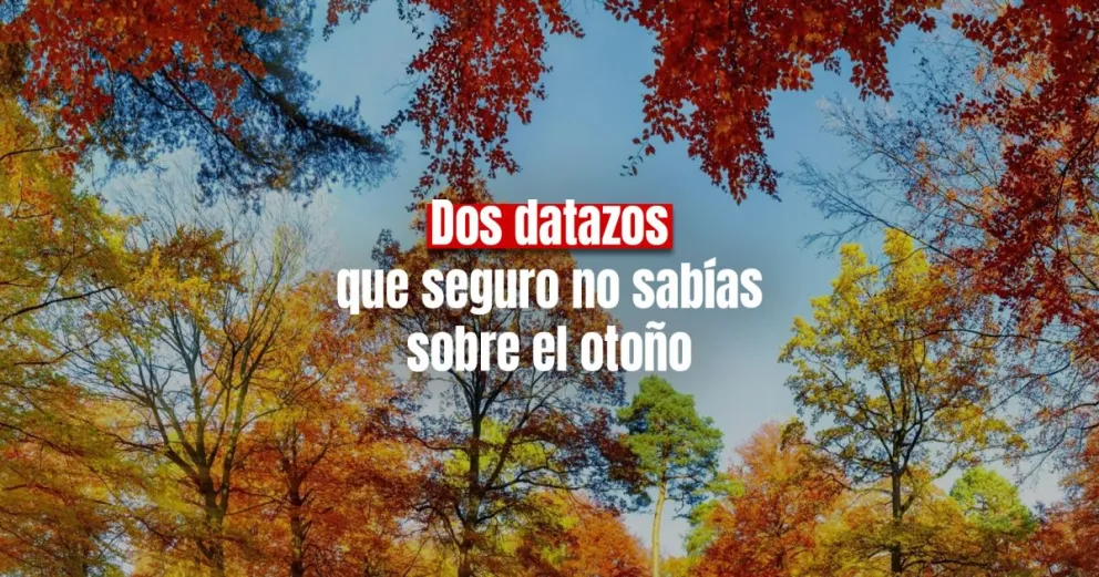 Otoño 2023: cuándo empieza en Argentina y qué es el equinoccio