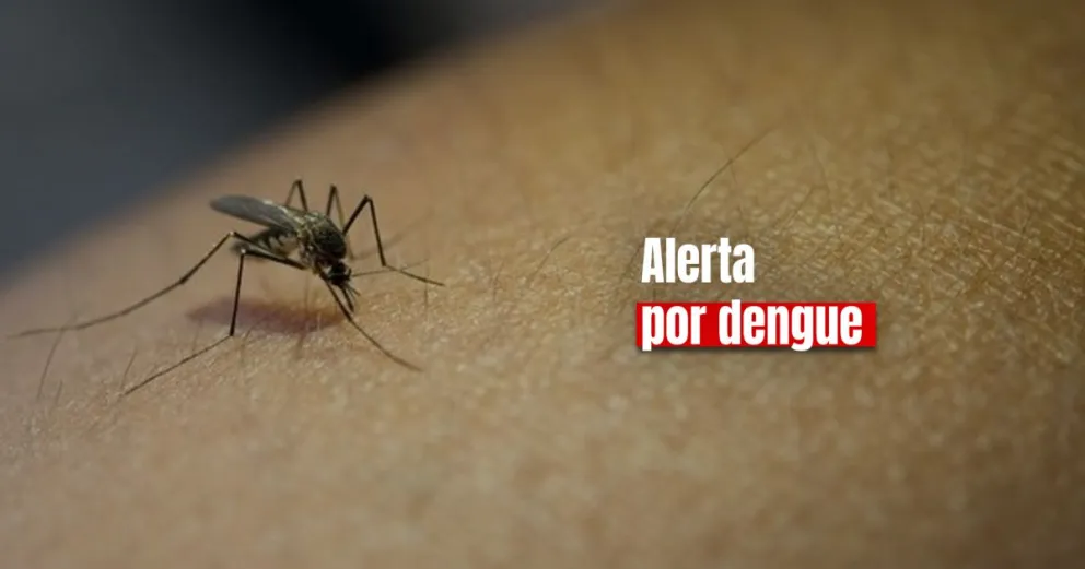 Confirmaron 5.000 casos y una muerte por dengue en el país