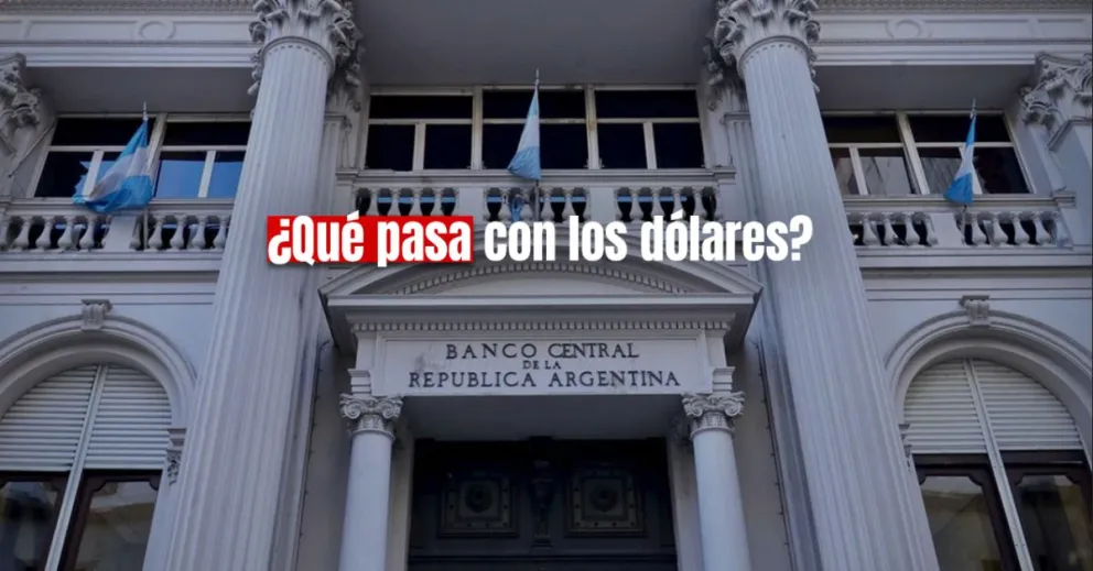 Los organismos públicos deberán liquidar los dólares al Banco Central