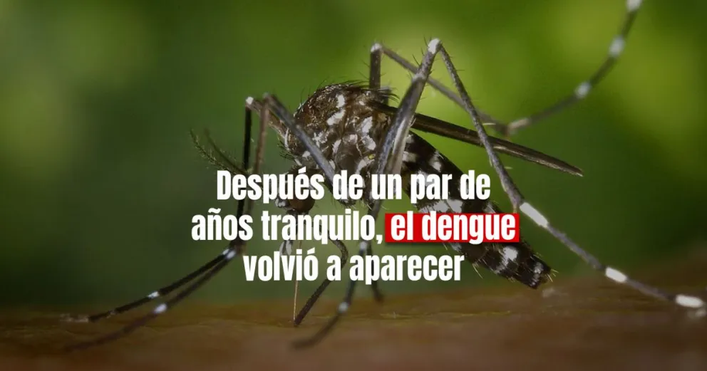 Confirmaron circulación de dengue en 13 provincias
