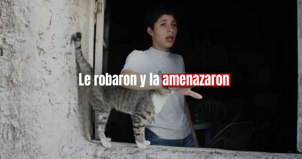 Dos ladrones robaron en un almacén y amenazaron a su dueña 