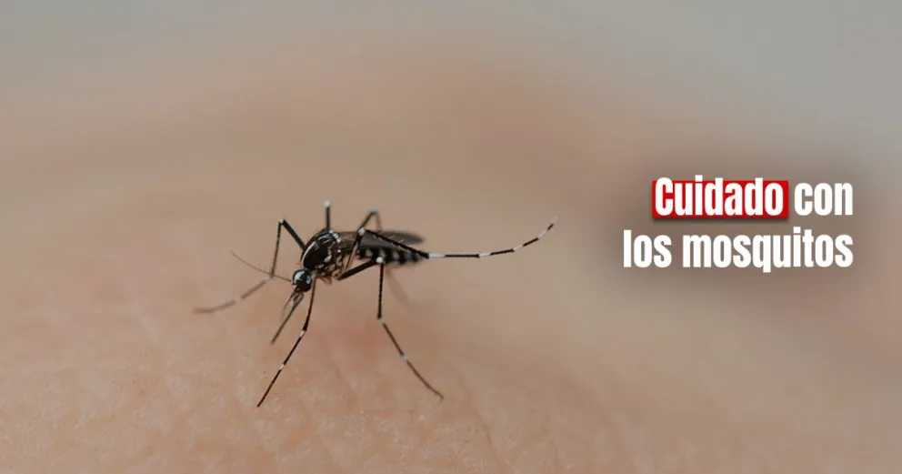 Siguen aumentando los casos de Dengue en el país