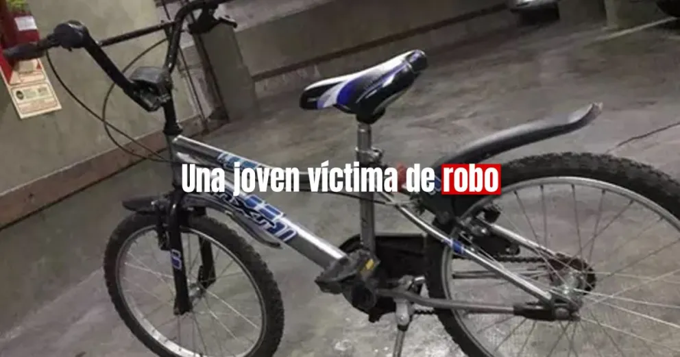 Dos ladrones le robaron la bicicleta a un chico en Capital 