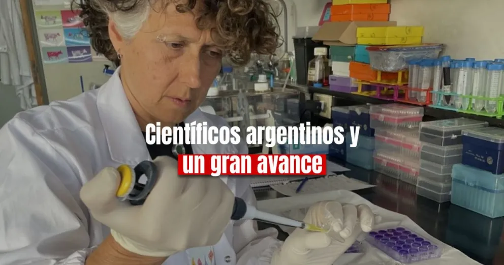 Científicos argentinos lograron un importante avance en vacunas contra el cáncer