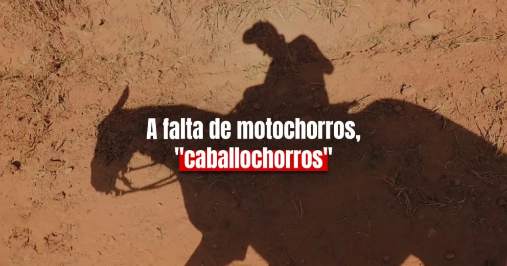 Un joven robó dos veces, ¡a caballo!