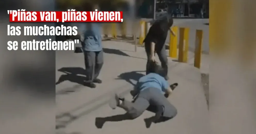 Dos alumnas se pelearon en la puerta de un colegio y fueron filmadas