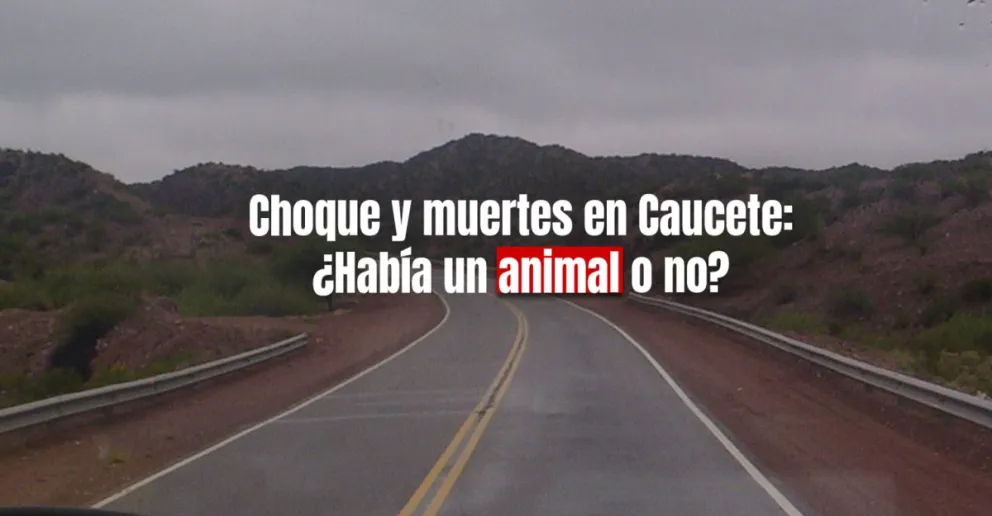 Tragedia en Cuesta de las Vacas: encontraron pelos en el frente del camión, pero no al supuesto animal