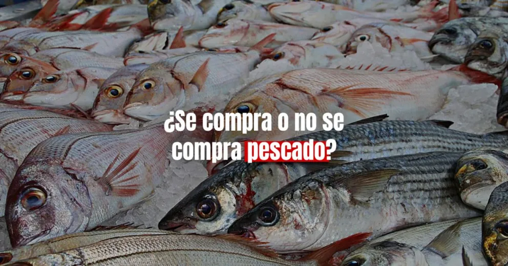 A pesar del precio, los sanjuaninos llegaron desde temprano para comprar pescado 