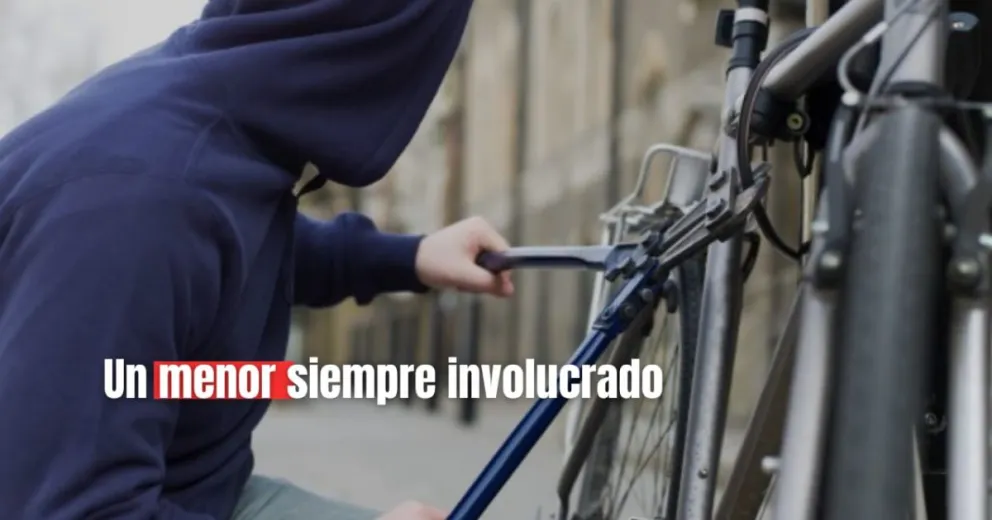 Robaron una bicicleta y quedaron detenidos