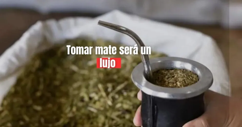 La yerba aumentó el 40% y podría haber faltante 