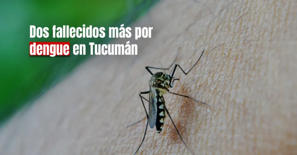 Dos personas más murieron por dengue y ya son un total de 16 fallecidos en el país