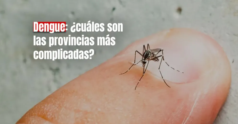 Los mosquitos no aflojan: hay 28.235 infectados por Dengue en el país