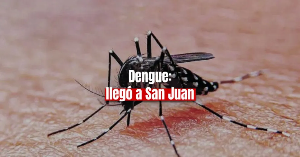 San Juan: Confirman dos casos de dengue 
