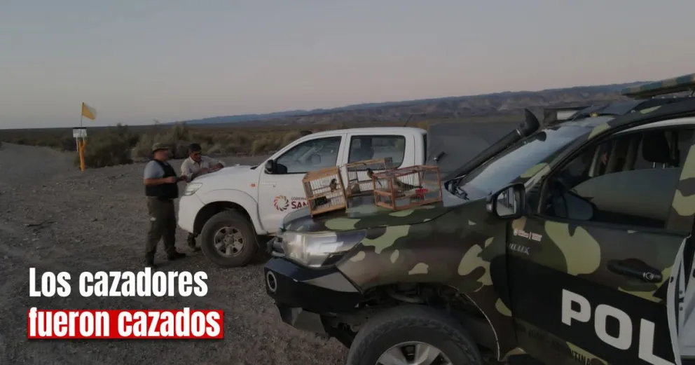 Cacería ilegal: decenas de infracciones en la provincia