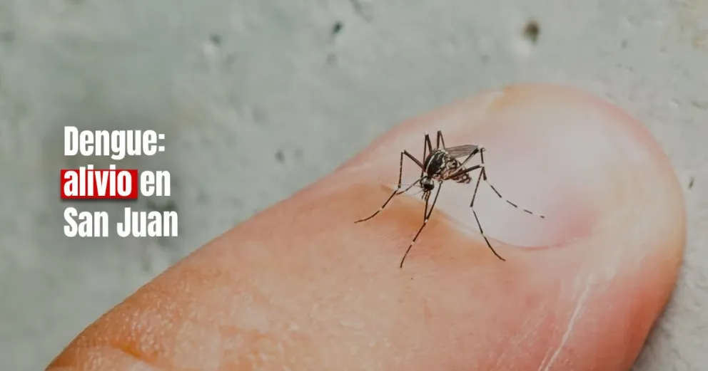 Dengue en San Juan: se confirmó el resultado del tercer caso sospechoso