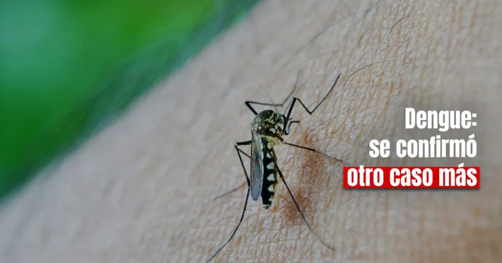 Dengue en San Juan: se confirmó un nuevo caso importado
