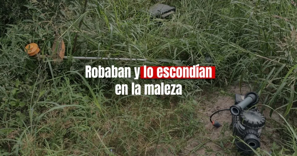 San Martín: la policía encontró objetos robados entre la maleza