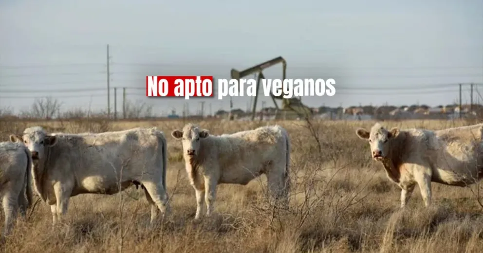 Una explosión en Texas provocó la muerte de 18.000 vacas