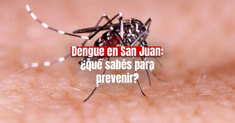 ¿Cómo es el aislamiento de los sanjuaninos con dengue?