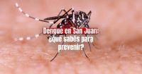 ¿Cómo es el aislamiento de los sanjuaninos con dengue?