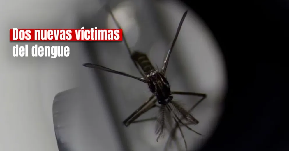 Dos personas fallecieron por dengue y ya son 35 muertos en todo el país 