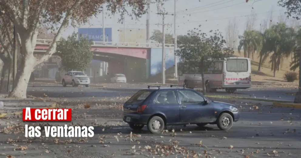 Se viene una tarde ventosa 