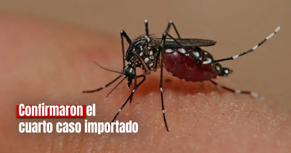 Dengue en San Juan: confirmaron un cuarto caso importado 