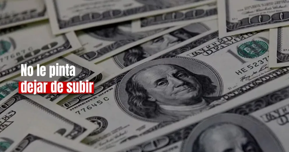 El dólar blue volvió a subir y opera en $430