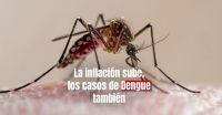 Los casos de Dengue siguen aumentando y ya son 42 los muertos en el país