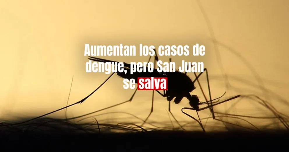 Dengue: Hay 15 provincias con circulación y más de 56 mil casos