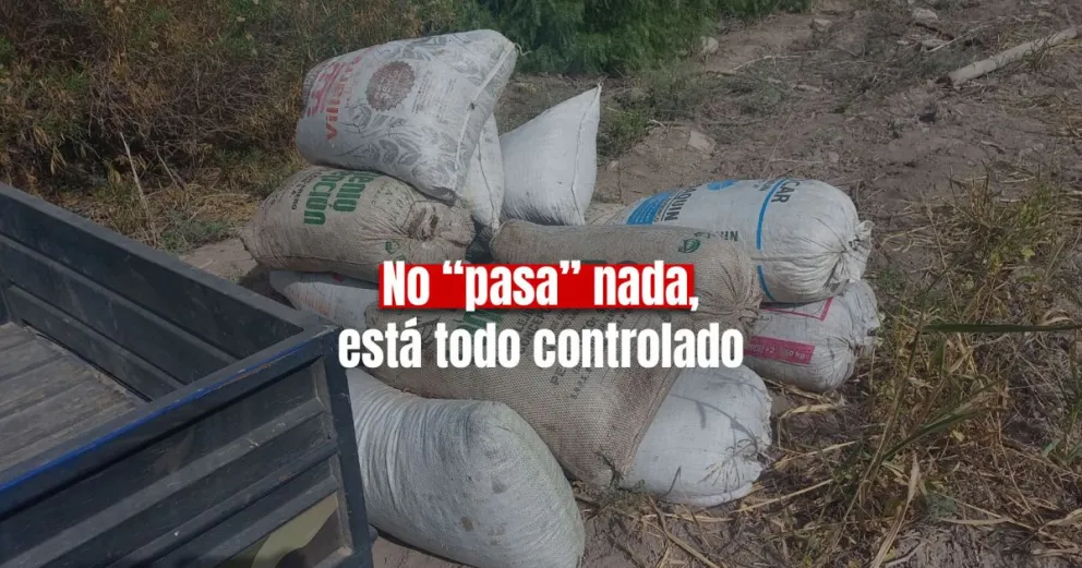  Robaron un cargamento de pasas de uva en Caucete