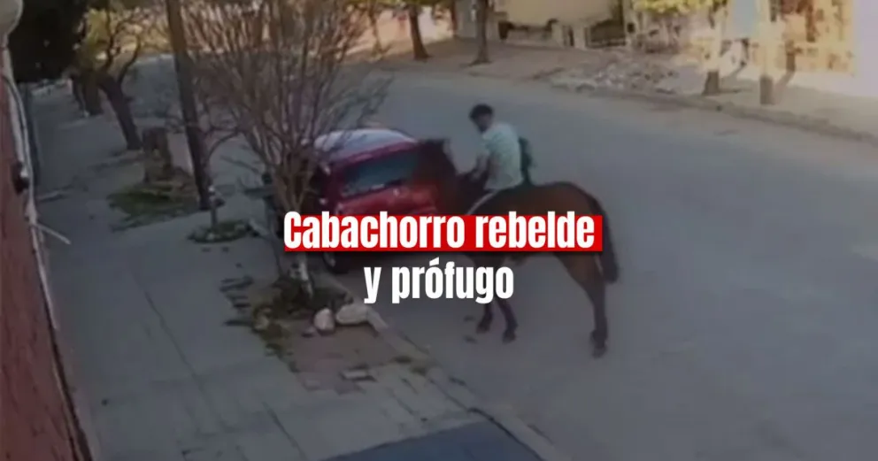 Un ladrón a caballo faltó a la audiencia de juicio y fue declarado en rebeldia