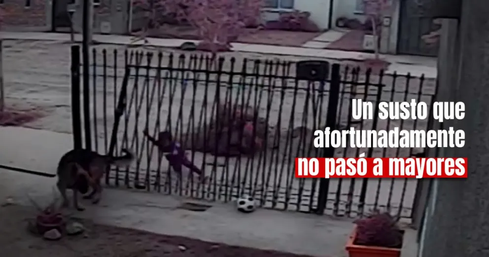 Un nene corría el portón para que su padre saque el auto y se le cayó encima