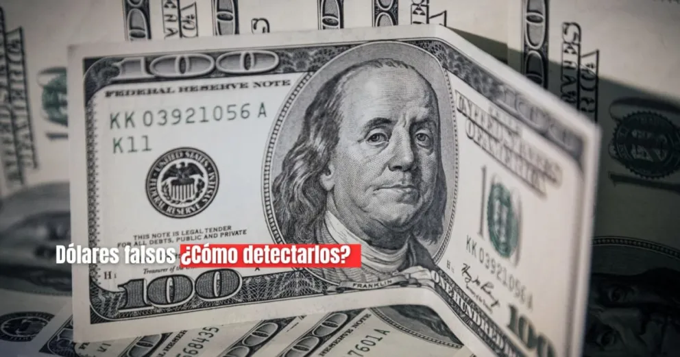 Dólar: Las claves que hay que mirar para detectar si es falso o no