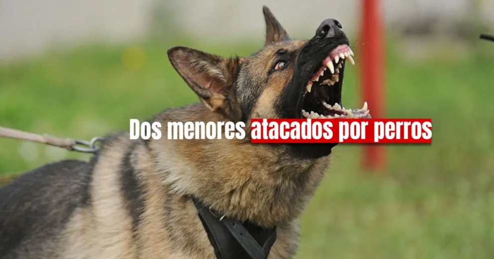 En Chimbas: dos nenes fueron atacados por perros 