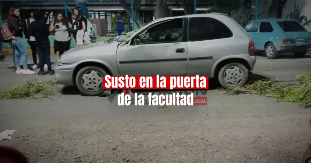 Una rama cayó encima de un auto y lo destrozó