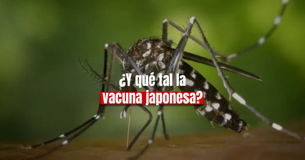 Los infectólogos destacaron la eficiencia de la vacuna contra el dengue