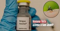 Vacuna contra el dengue: cuándo estará disponible en la Argentina ¿Qué dicen en San Juan?