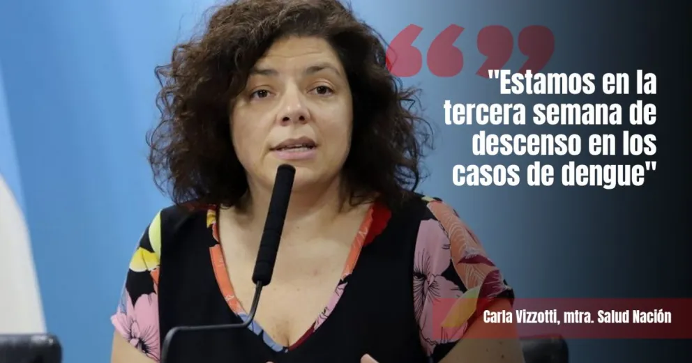 Vizzoti afirmó que los casos de dengue se redujeron notablemente
